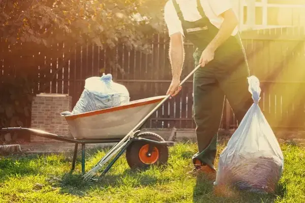 Yard Cleanup