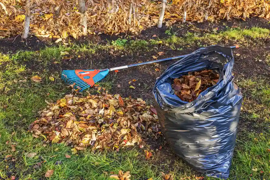 Experienced Yard Cleanup Worcester, MA
