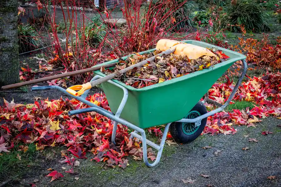 How Yard Cleanup Protects Masonry Structures Worcester, MA