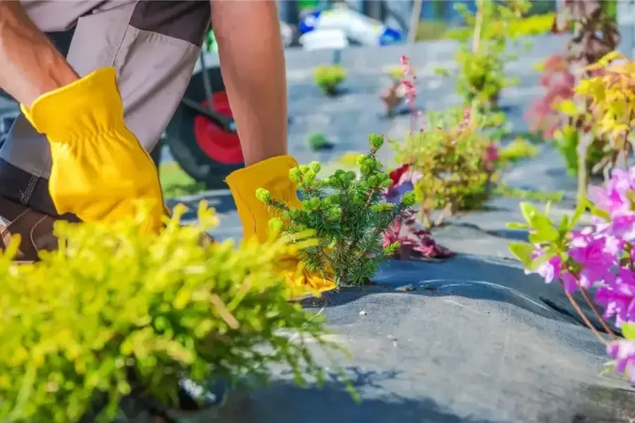 Local Landscaping Service Worcester, MA