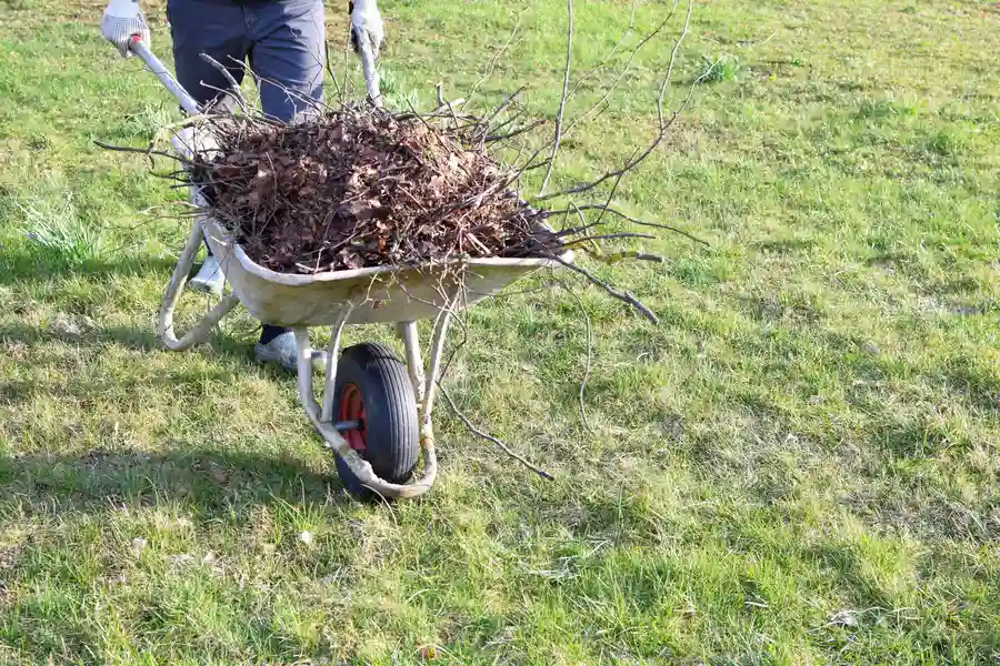 The Role Of Yard Cleanup In Preventing Masonry Damage Worcester, MA