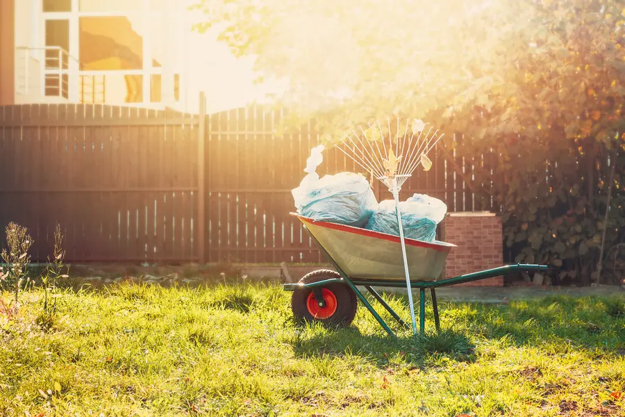 The Role Of Yard Cleanup In Preventing Masonry Damage in Worcester, MA